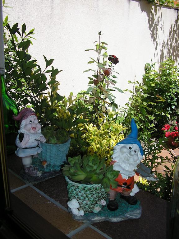 Casa De La Paca Bed & Breakfast Coca Bilik gambar